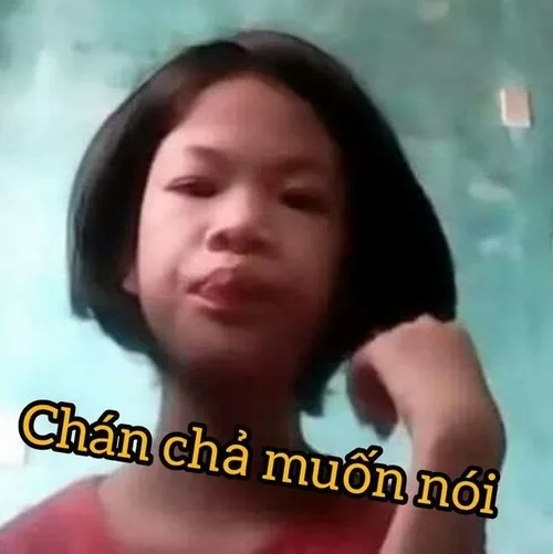 Bộ meme cạn lời giúp bạn phản ứng nhẹ nhàng mà vẫn sâu cay