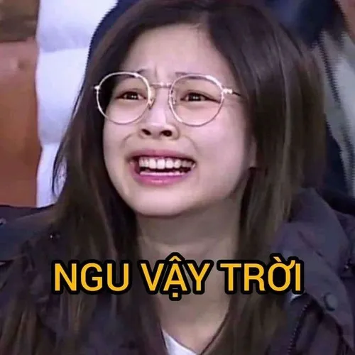 Ảnh troll cạn lời lan nhanh trong cộng đồng mạng Việt vì quá thật.