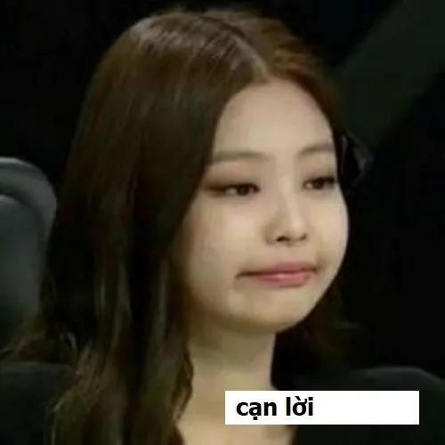 Hình troll biểu cảm “bó tay” lan khắp Facebook và TikTok.