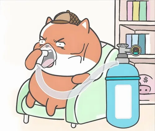 Hình meme vui thở bình oxy giúp người xem cười qua mệt mỏi