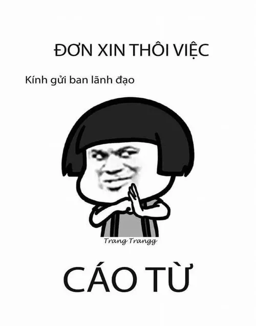 9 Ảnh meme gấu trúc cáo từ sau khi gởi đơn xin thôi việc