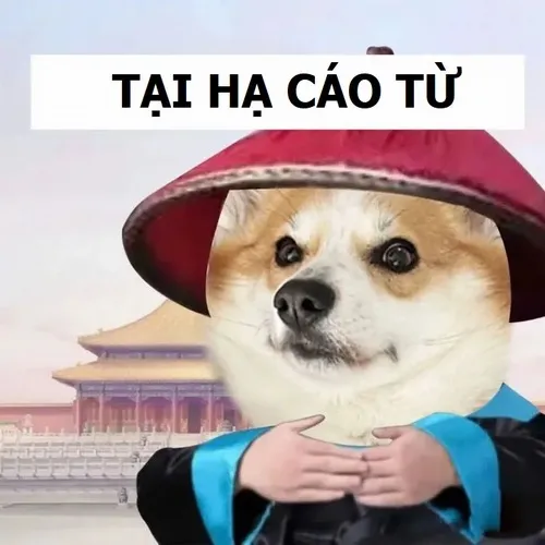 14 Meme cáo từ chắp tay trước ngựa xích anh hùng giang hồ