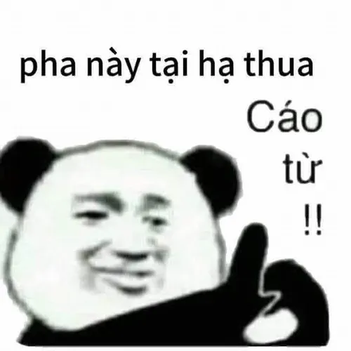 21 Meme chế cáo từ hiệp sĩ đứng im nơi cửa phật thanh vắng