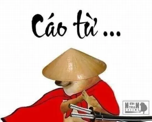 18 Ảnh vui cáo từ kiếm hiệp đội mũ trụ đứng trước bảng “hết giờ”