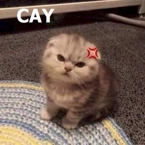 Hình chế meme vui về sự ganh tị hài hước