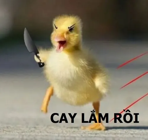 Meme hài lời nói mỉa mai khi cay cú thua cuộc