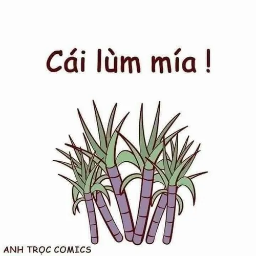 Meme vui khuôn mặt tức giận nhưng đáng yêu