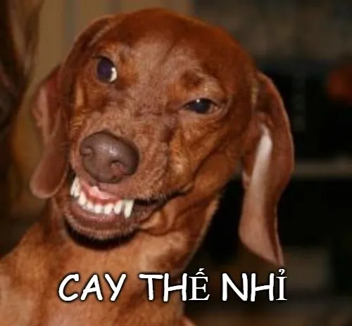 Hình troll phản ứng ganh đua giữa bạn bè thân thiết