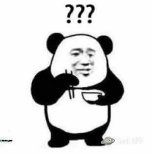 Meme hài gấu trúc chấm hỏi đứng hình nhẹ khó tả