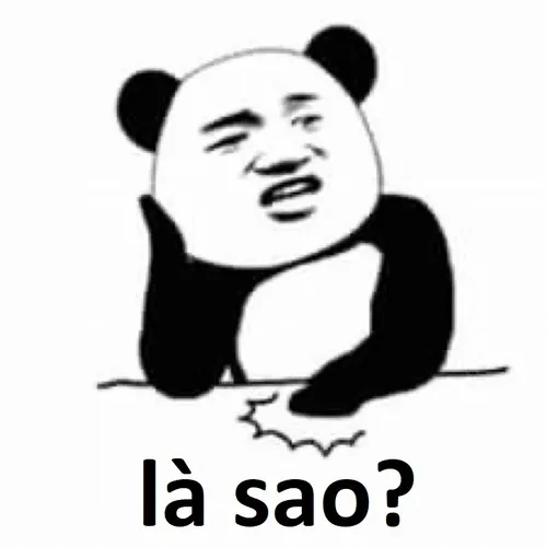 Hình chế gấu trúc ánh mắt thắc mắc