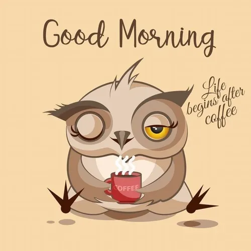 Tổng hợp meme chào ngày mới mang phong cách genz đầy hứng khởi