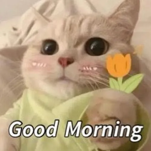 Ảnh chế buổi sáng khiến nhóm chat rộn tiếng cười