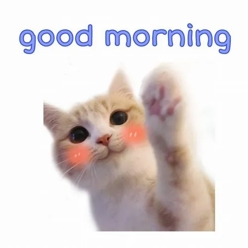 Hình troll chào sáng cực hợp dân văn phòng