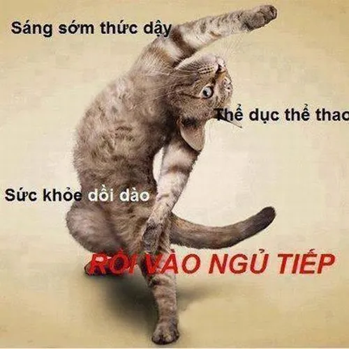 Meme buổi sáng trend mới giúp mood bật dậy liền