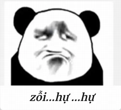 Khi gấu trúc dỗi, meme lên tiếng thay con tim