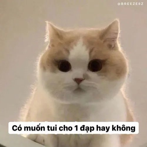 Hình meme hờn nhẹ được dân mạng dùng để dỗi vu vơ