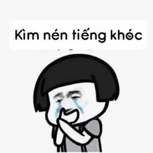 Meme hài mèo dỗi phồng má đang gây bão mạng