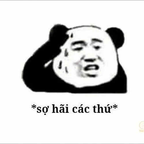 Meme kinh hoàng với khung cảnh tối đậm gợi nỗi sợ bản năng