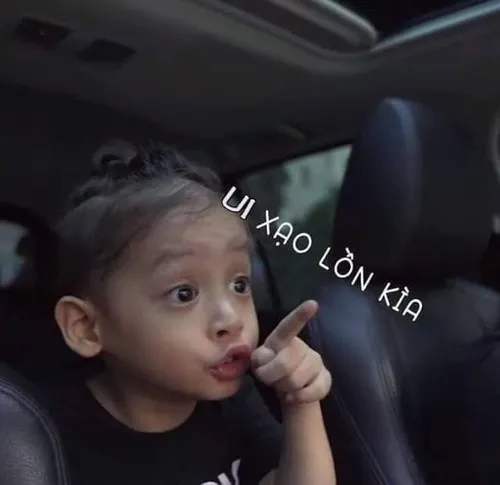 Meme chế chửi thề nghe gắt mà vẫn mang phong cách lầy lội.