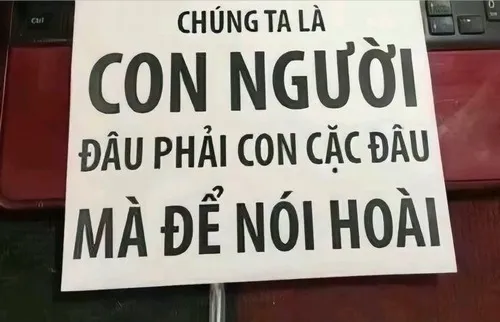 Hình troll chửi ngu mà lời như triết lý