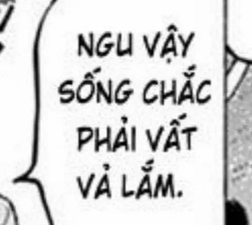 Hình chế chửi thề phong cách troll bạn thân lầy lội bá đạo.