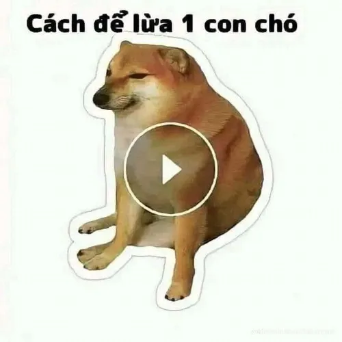 Meme troll chửi tục thể hiện bức xúc nhẹ nhàng mà sâu cay.