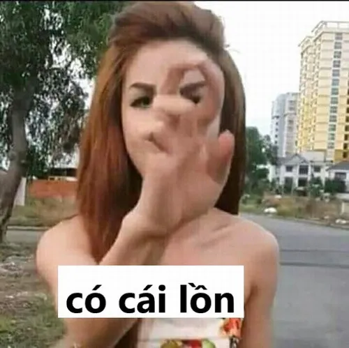 21 Meme có cái l chuẩn giang hồ mạng đời đầu