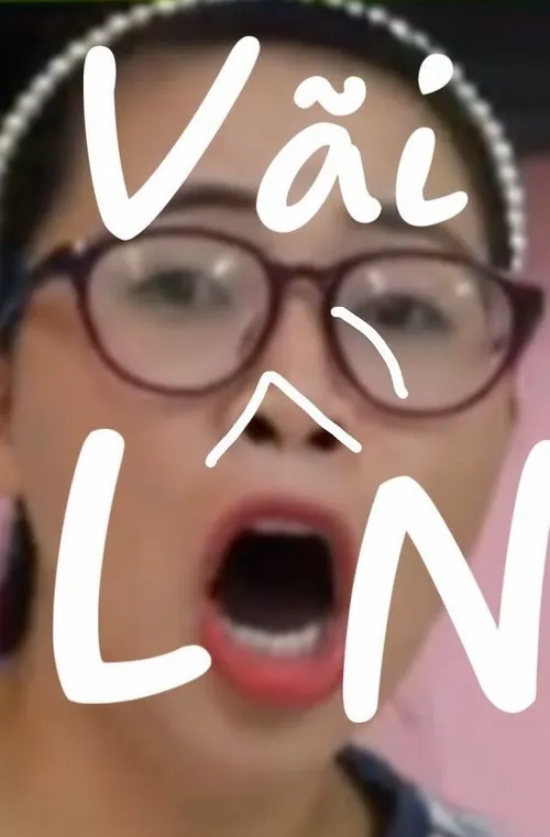 33 Meme có cái loz nổi bật nhờ cách nói tục nhẹ nhưng vui.