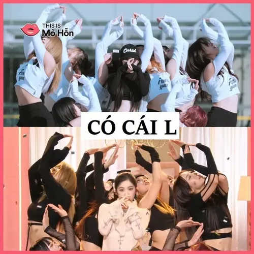 14 Meme có cái l cực gắt nhưng vui phết