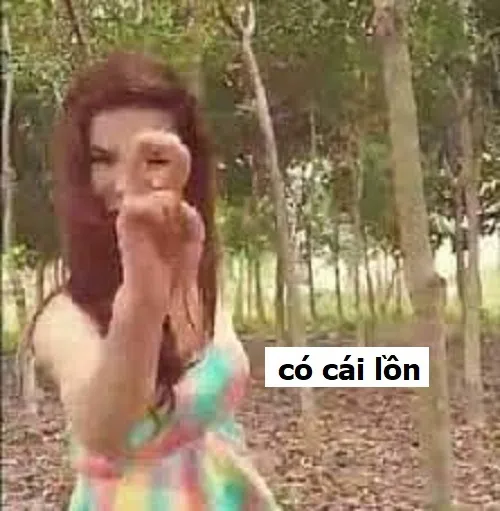 10 Meme có cái loz cực hợp mấy pha troll bạn