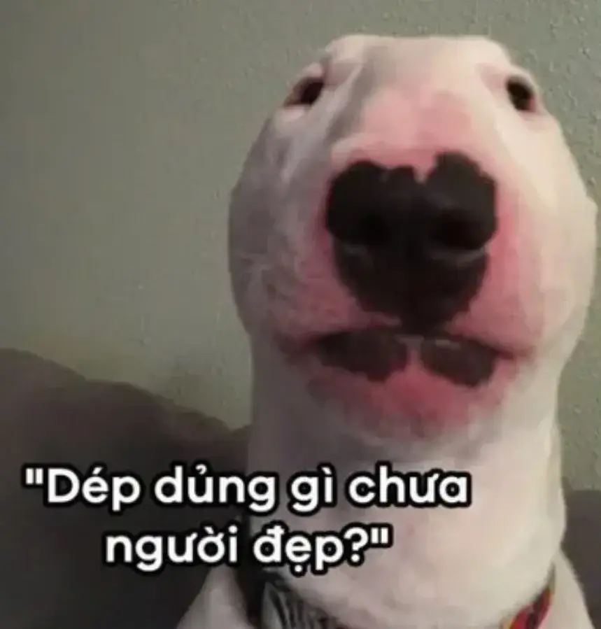 Meme hài dép dủng gì chưa người đẹp?