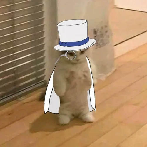 Meme Conan trầm ngâm nhìn Ran với ánh mắt buồn nhẹ