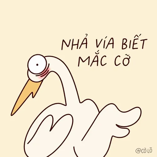 Meme hài phòng bị mất wifi đúng giờ nộp báo cáo