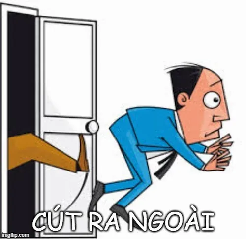 Hình troll lời thô, biểu cảm mặt người như nói thay lòng.