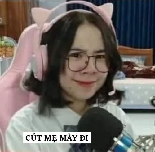 Hình chế meme vui mỉa mai, nói ít mà trúng tim người xem.