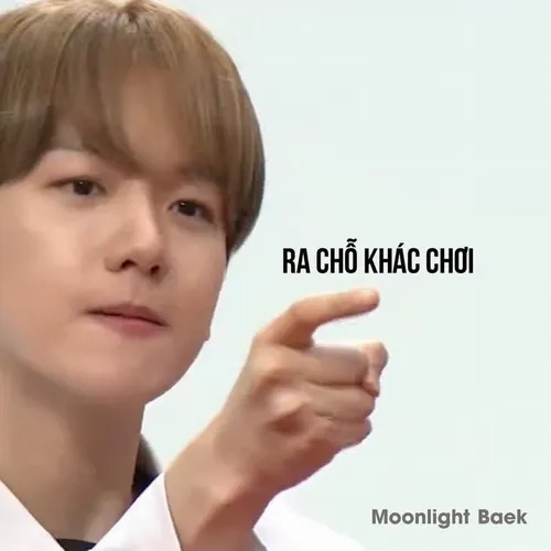 Meme cút sticker dễ thương, nghịch ngợm mà vẫn đủ cay.