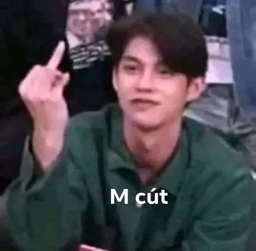 Ảnh chế lời cộc, phong cách dân mạng Việt đặc trưng.