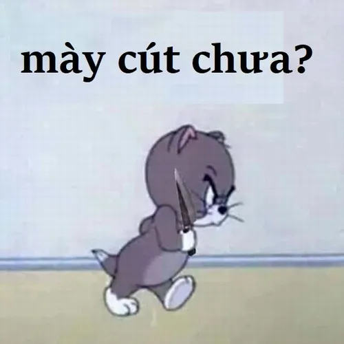 Ảnh vui sticker cút, dùng xong ai cũng bật cười.