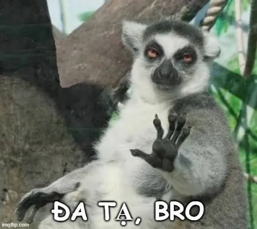 Meme Đa tạ người hảo hữu với nụ cười nửa miệng tinh nghịch