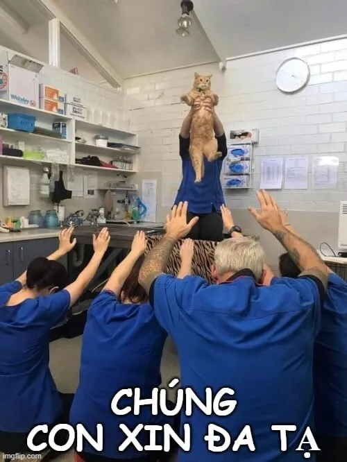 Hình chế cảm ơn phản ứng tự nhiên, lan tỏa tinh thần tích cực