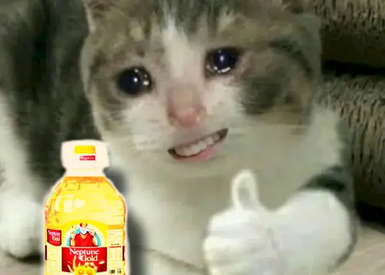 3 Vì sao hội bạn thân mê gửi meme dầu ăn trong group chat