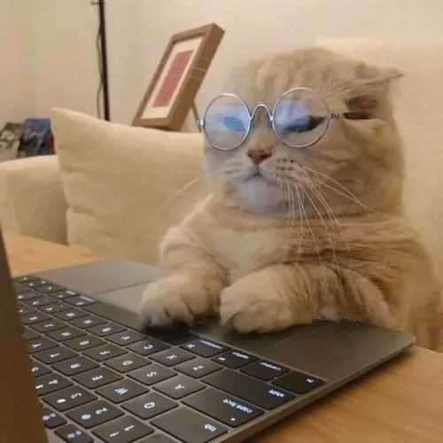 Meme vui cảnh khách hàng đòi thêm hiệu ứng lung linh.