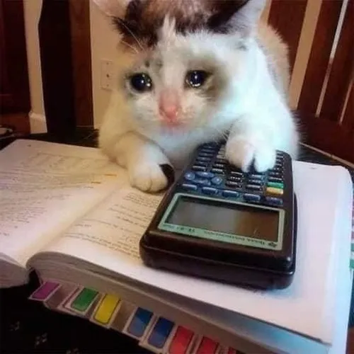 Ảnh troll đôi mắt đỏ ngầu vì thiếu ngủ