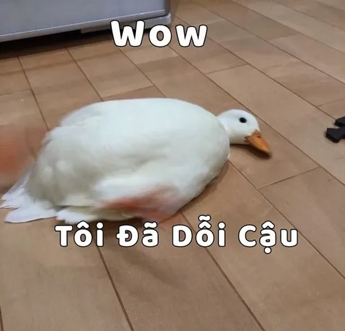 Meme vui giận nhẹ thể hiện sự quan tâm ngọt ngào