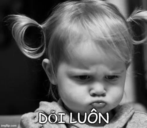 Ảnh troll dỗi kiểu con nít khiến mạng xã hội tan chảy