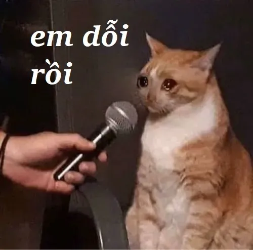 Ảnh meme hờn dỗi gắn liền những đoạn chat cực thực tế