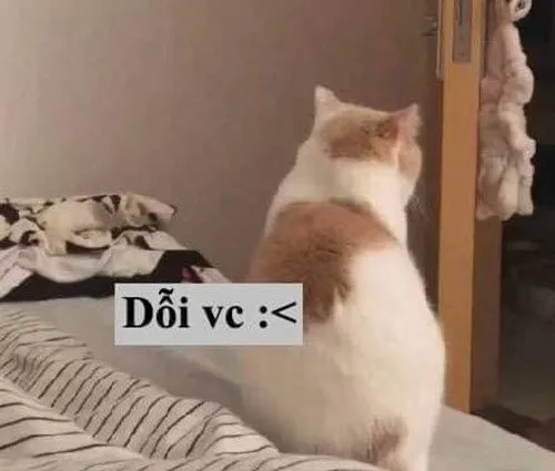 Meme hài lẫy hờn cho mấy pha giận yêu nhẹ nhàng