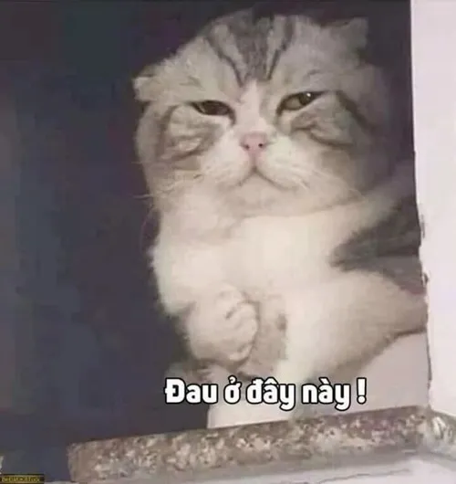 Hình vui hờn dỗi trên Messenger khiến ai cũng bật cười