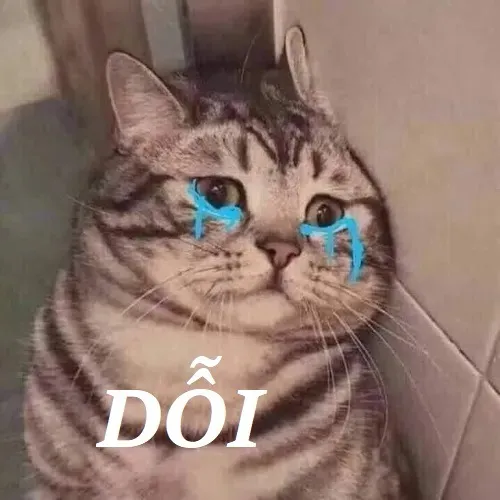 Meme troll bạn bè khi giận dỗi vì bị quên sinh nhật