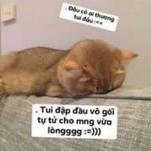 Meme hài hờn dỗi pha chút ghen nhẹ cực duyên